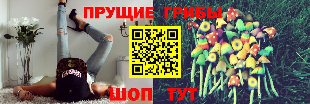 как найти   Вход с VPN  Выборг  Псилоцибиновые грибы прущие грибы 